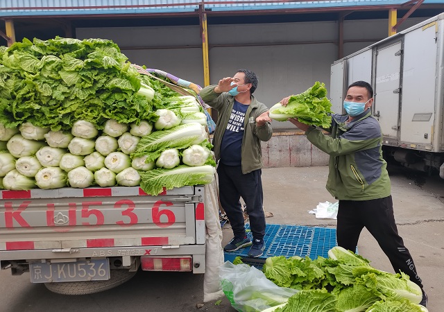 华体买球加大“冬储菜”调运，全力做好保供稳价